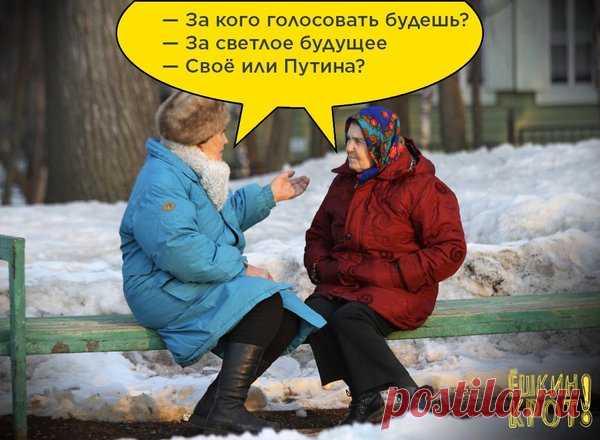 ТОП 4 того, что должно государство каждому гражданину России | Правда Пресс | Яндекс Дзен