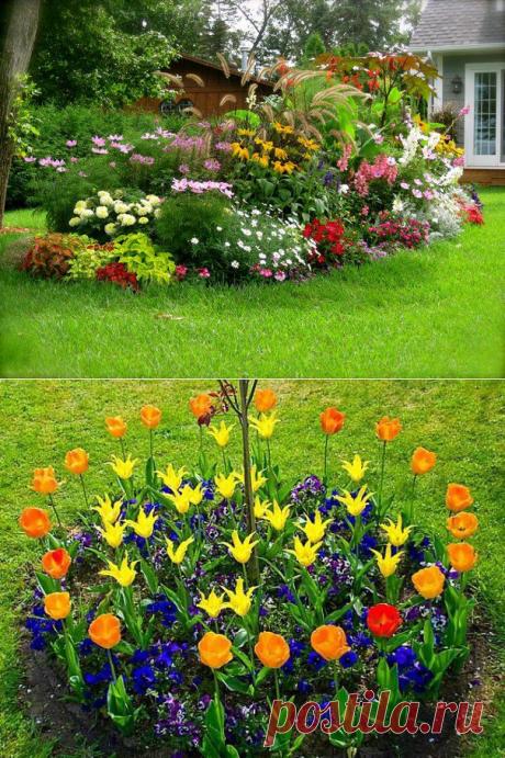 6 главных ошибок при проектировании цветников | Дачный участок