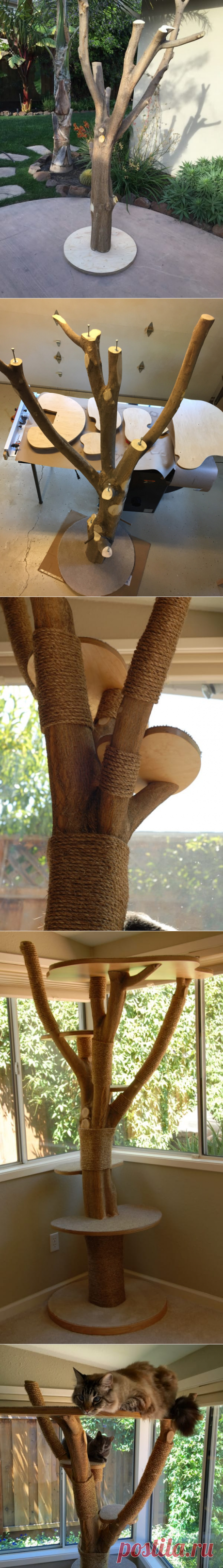 Женщина из коряги соорудила очень полезную вещь