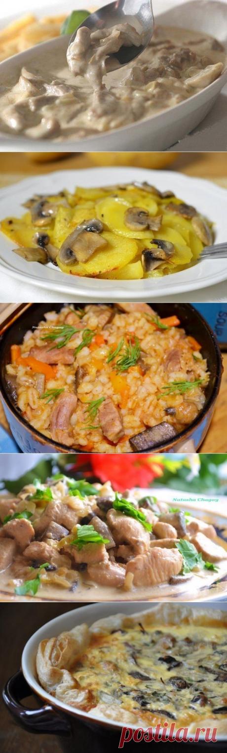 10 СУПЕР-РЕЦЕПТОВ приготовления блюд из грибов