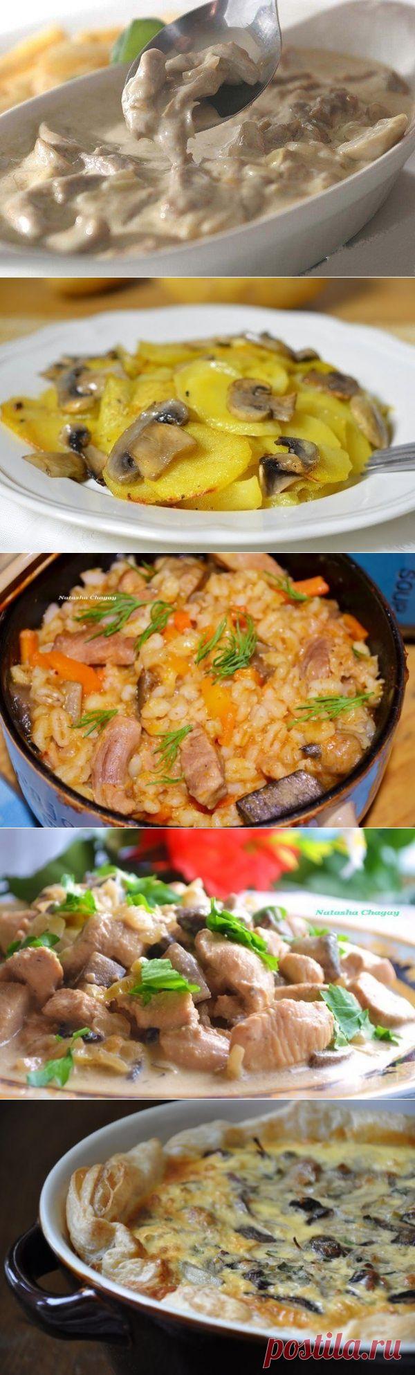 10 СУПЕР-РЕЦЕПТОВ приготовления блюд из грибов