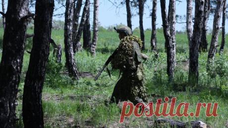 ВСУ за сутки потеряли свыше 515 военных в зоне действий "Востока"