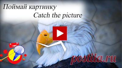 Игра Орел поймай картинку / Eagle catch the picture game

Потренируете свою внимательность и скорость реакции с помощью нашей игры "Орёл поймай картинку". В нашей  игре требуется с помощью кнопки пауза видео поймать полностью собранную картинку. В игре спрятано шесть полностью  собранных картинок.  Желаем вам удачи в их поиске.