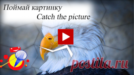 Игра Орел поймай картинку / Eagle catch the picture game

Потренируете свою внимательность и скорость реакции с помощью нашей игры &quot;Орёл поймай картинку&quot;. В нашей  игре требуется с помощью кнопки пауза видео поймать полностью собранную картинку. В игре спрятано шесть полностью  собранных картинок.  Желаем вам удачи в их поиске.