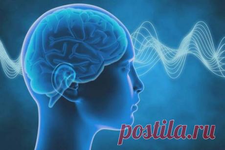 В человеческом мозге выявлены не только циркадные, но и 12-часовые ритмы Американские ученые из Медицинской школы Питтсбургского университета сделали важное открытие, касающееся работы мозга. О циркадных ритмах было известно давно, но сейчас выявлен и другой цикл, 12-часовой.Ритмы в экспрессии генов имеют циркадные периоды (24-часовые), о них ученые давно...