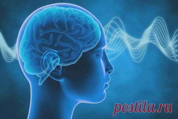 В человеческом мозге выявлены не только циркадные, но и 12-часовые ритмы Американские ученые из Медицинской школы Питтсбургского университета сделали важное открытие, касающееся работы мозга. О циркадных ритмах было известно давно, но сейчас выявлен и другой цикл, 12-часовой.Ритмы в экспрессии генов имеют циркадные периоды (24-часовые), о них ученые давно...