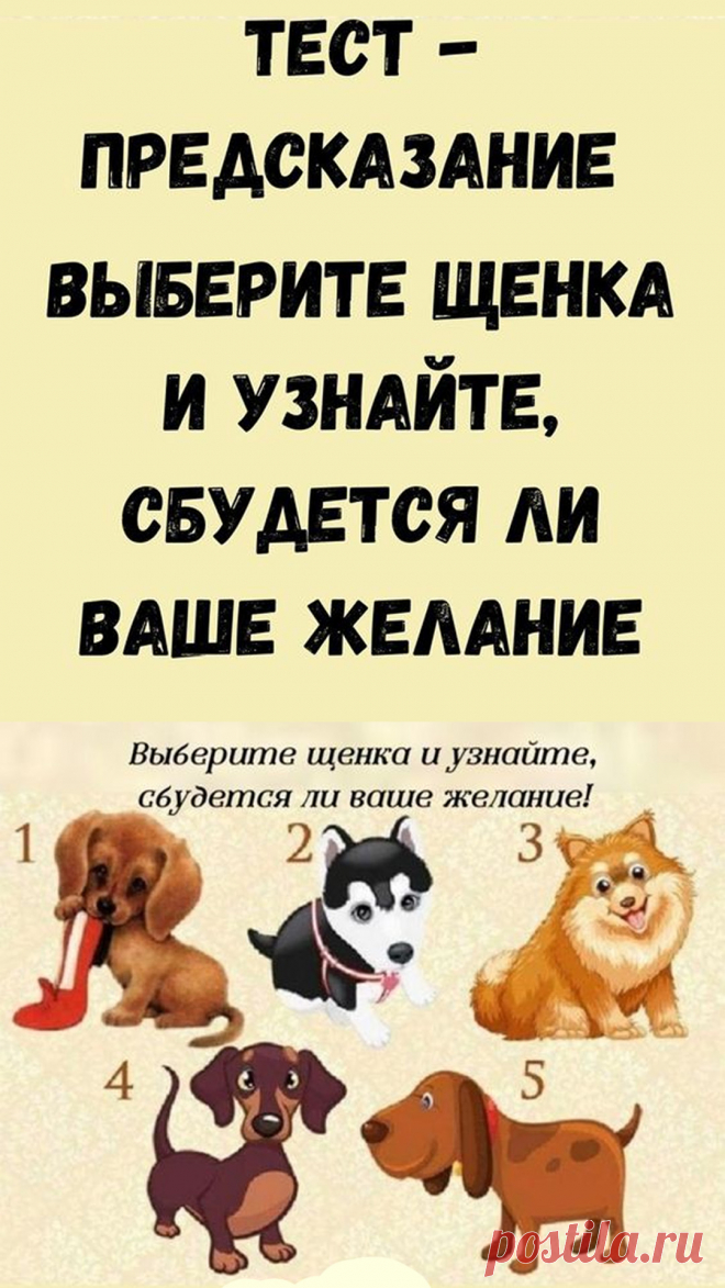 Загадайте свое желание и выберите собаку, она скажет вам, когда ваше желание сбудется.