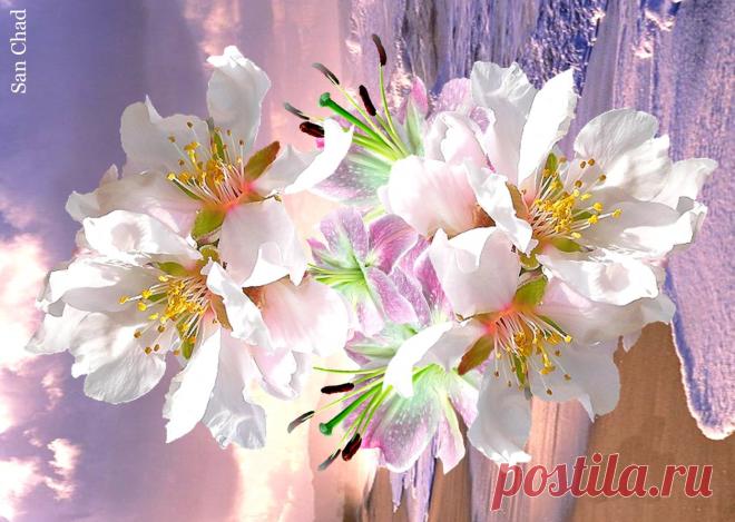 (1) Dr Chernykh A.D. (@sanchad7) | Твиттер