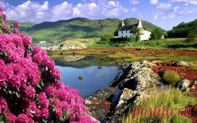 Ирландия - Google+