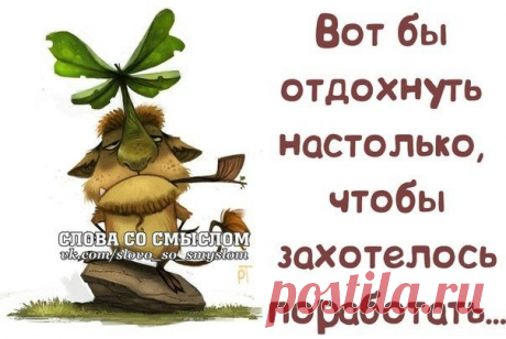 Цитаты ,которые меня зацепили!