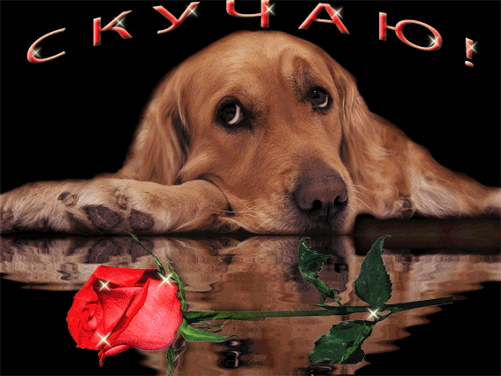 Плейкаст «Для тебя»