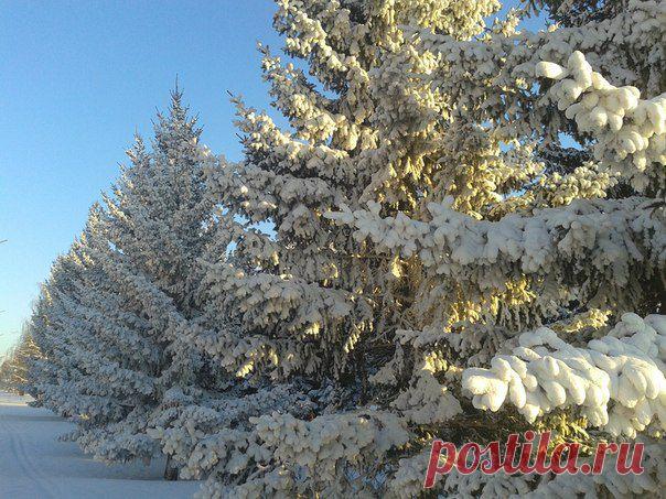 Стартует третий этап голосования в фотожелаем им удачи! / Социальная погода