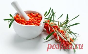 Наливка из облепихи: рецепт в домашних условиях