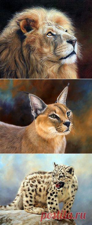 Дикие кошки Африки. Художник David Stribbling :: Коты и кошки - рисунок, графика, живопись