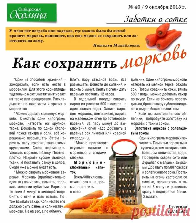 Как сохранить морковь