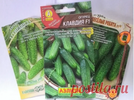 Когда сеять огурцы по Лунному календарю в 2020 году | Дачные секреты от Виктории Радзевской | Яндекс Дзен