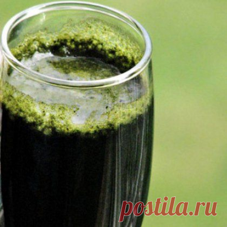 Как сделать сок из крапивы: полезные свойства