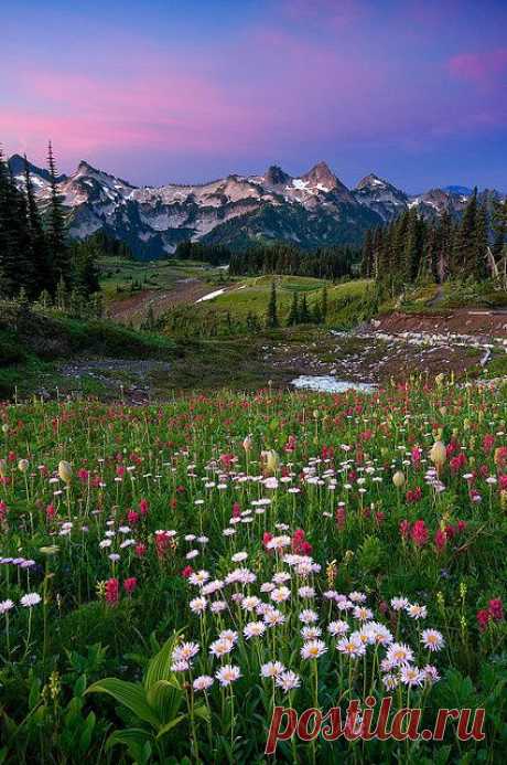 Mount Rainier, Tatoosh Range, Washington state - Photo by by Jesse Estes: Discover and save creative ideas