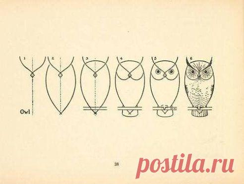 Как нарисовать сову