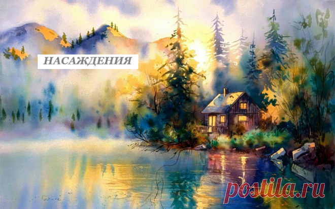 Более крупные массивы деревьев и кустарников называют насаждениями. 
Они могут состоять из различных видов. 
В зимнее время насаждение очень выигрывает, если в его составе есть вечнозеленые хвойные растения. 
Густые массивы деревьев и кустарников высаживают на заднем плане, где они выполняют защитную или фонообразующую функцию.