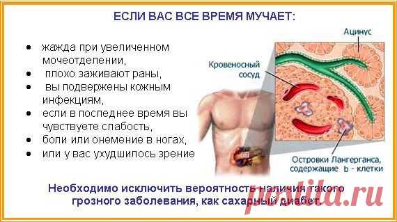 Дневник bremer