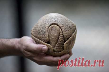 20 фотографий, которые удивили мир в этом году
