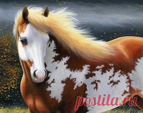 Чудо природы!!!! Красавица!!!!