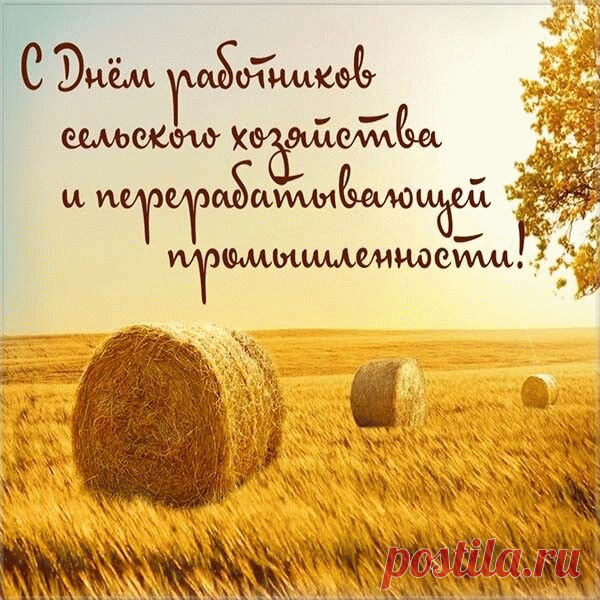 Открытки с Днём работников перерабатывающей промышленности
Варианты оформления открыток

Дизайн может включать: