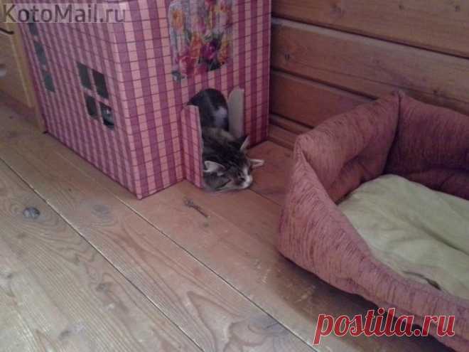 Дом, милый дом