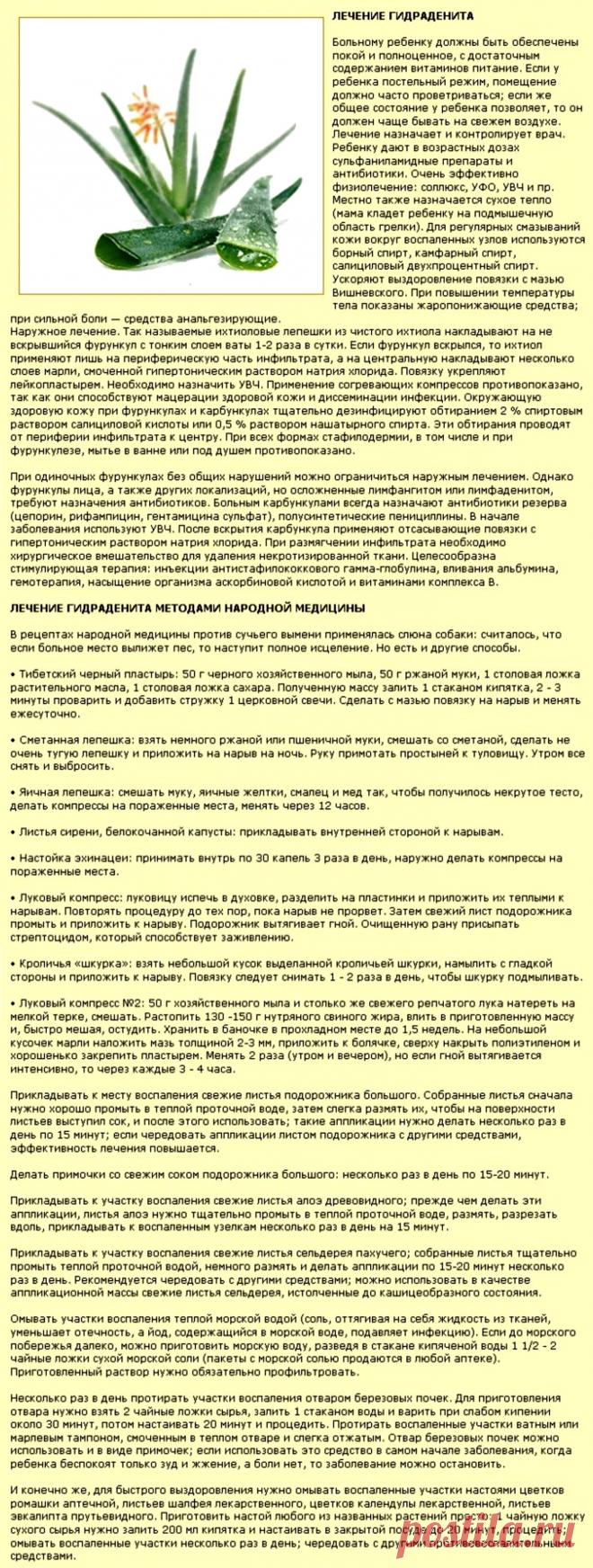 Лечение гидраденита ("сучье вымя")