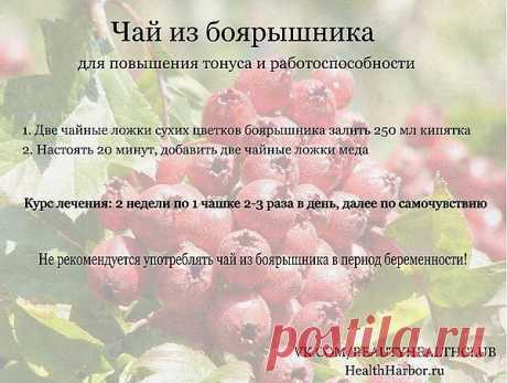 Уникальный отвар трав для укрепления сосудов.