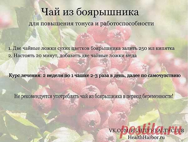 Уникальный отвар трав для укрепления сосудов.