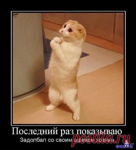Улыбаемся...смеемся...хохочем | Записи в рубрике Улыбаемся...смеемся...хохочем | Дневник Евгений_Ленский