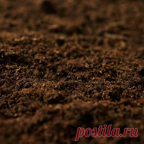 🚚 Доставка строительных сыпучих материалов любых объемов
👷 Индивидуальный подход 💵 Поэтапная оплата 💖 Доступные цены
🌍 Город Серпухов, деревня Палихово, дом 121 📞 +7(962)99-10-222