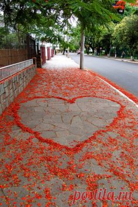 Pinterest: инструмент для поиска и хранения интересных идей