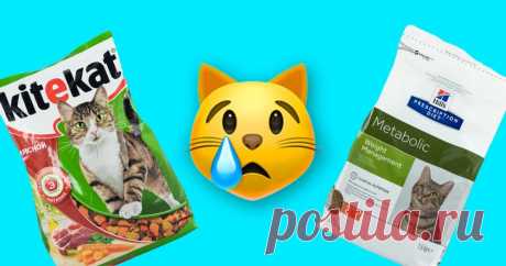 5 худших марок корма для кошек, в которых нашли пестициды Очень вредно.