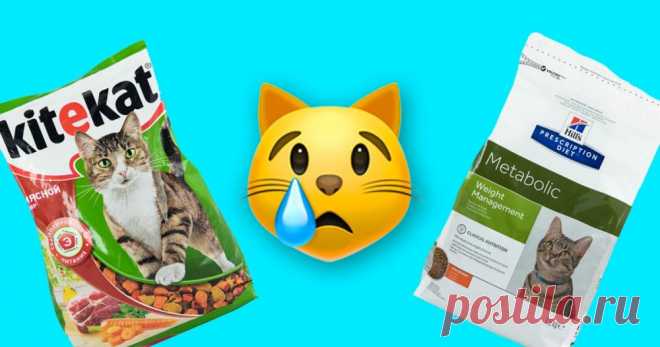 5 худших марок корма для кошек, в которых нашли пестициды Очень вредно.