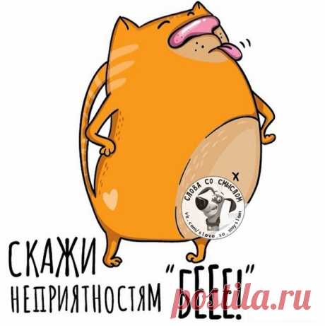 Прикольные фразочки в картинках