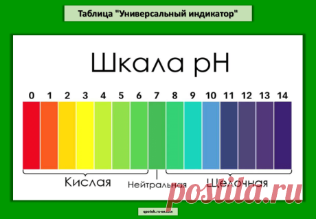 Таблица "Универсальный индикатор"