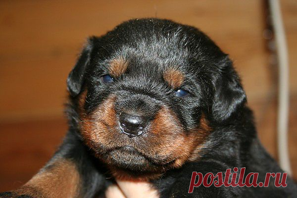 Мой Мир@Mail.Ru