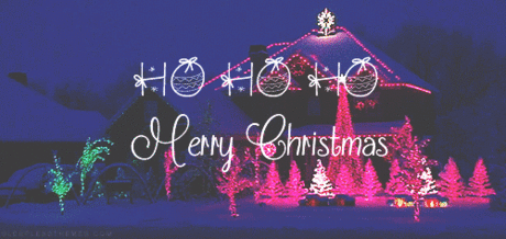 5.gif (500×237)