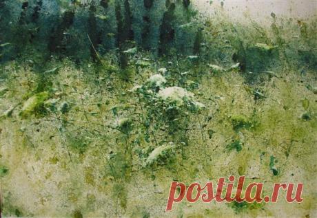 Alex Ong Boon Hau .Времена года .Акварель..