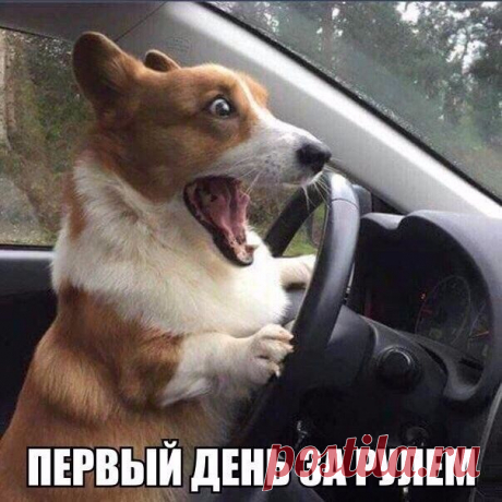 ....