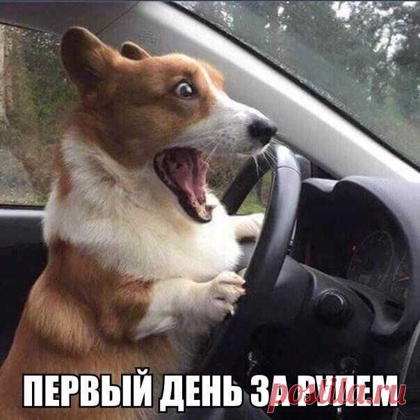 ....