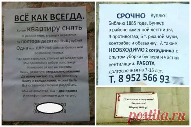 Объявления для удивления (20 фото) | Чёрт побери Креативность, доброта, странность и удивительность нашего народа намешана в объявлениях, при чтении которых можно удивляться, поражаться, смеяться и даже недоумевать. 1.    2. Шта?   3. Однозначно дебилы   4. Пока не перевернешь - не узнаешь   5. Ну ошибся, ну подумаешь, ввел в заблуждение   6. Предприимчивые товарищи   7.    8. Беру!   9. А так хотелось и именно в автобусе   10. Ну очень креативные ребята   11.    12. В дет...
