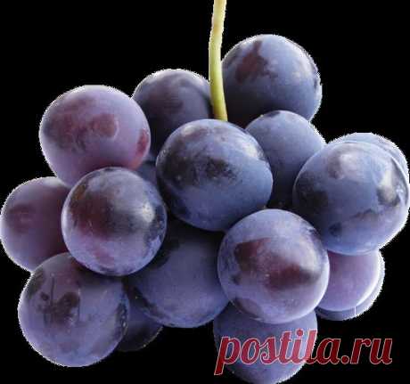 клипарт «дары природы