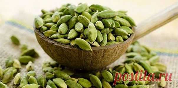 Лучшая жвачка – кардамон | Секреты красоты и здоровья