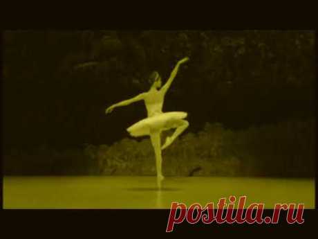 Quiz 2 - Bayadere shade variation - guess who's Russian trained?