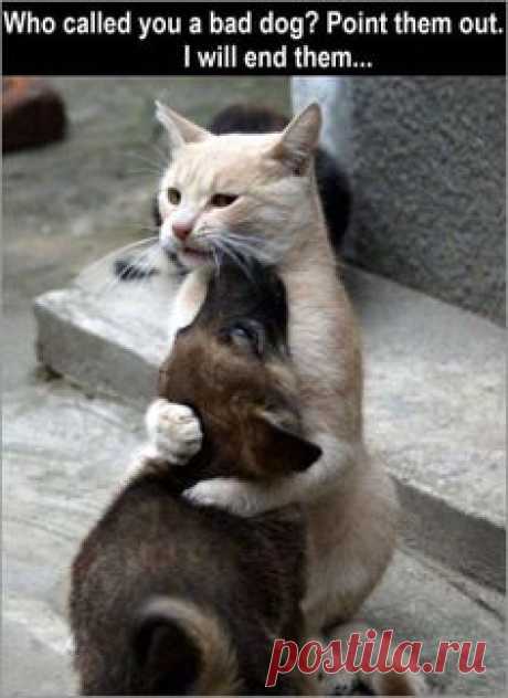 Funny Animal Pictures Of The Day – 21 Pics