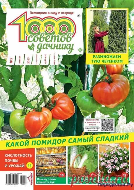 1000 советов дачнику №1-2 2023 * Переделки.Ру 1000 советов дачнику №1-2 2023 Читать журнал ОНЛАЙН